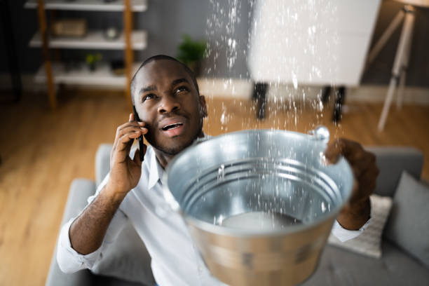Best Water damage restoration near me  in Crestwood, IL