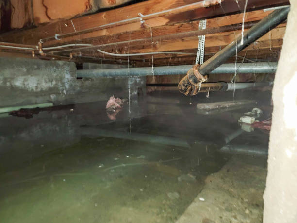 Water damage restoration experts in IL