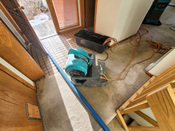 Best Water damage contractors near me  in Crestwood, IL