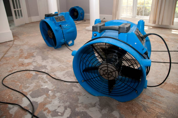 Professional Water damage restoration in IL