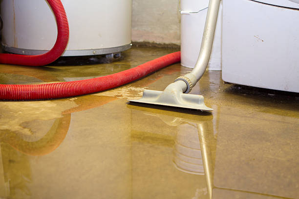 Best Commercial water damage restoration  in Crestwood, IL