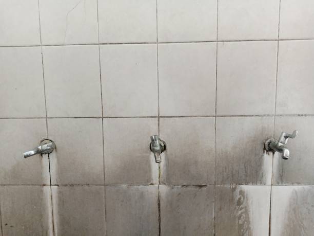 Best Emergency water extraction  in Crestwood, IL