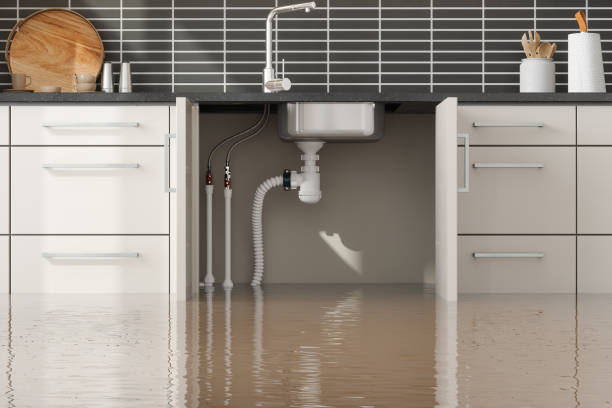Best Water damage cleanup near me  in Crestwood, IL