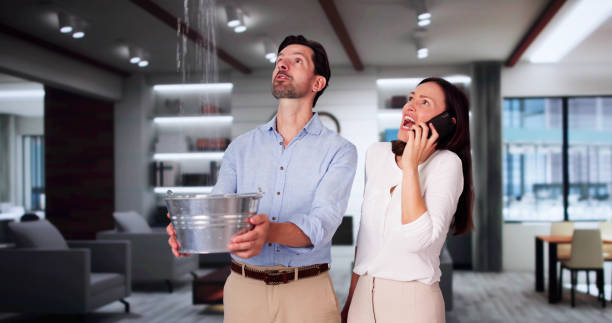 Best Water damage restoration near me  in Crestwood, IL