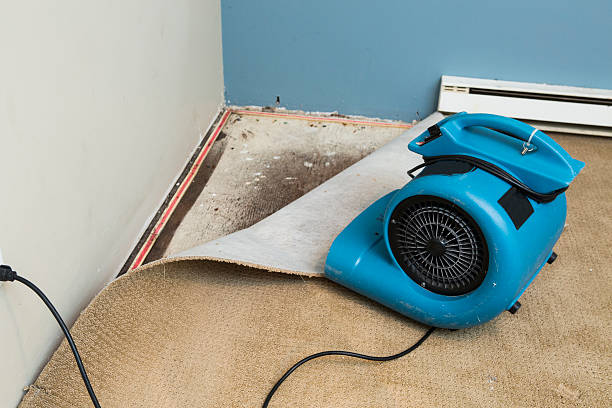 Best Water damage restoration process  in Crestwood, IL
