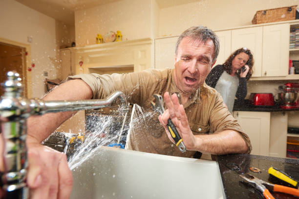 Best Professional water damage repair  in Crestwood, IL